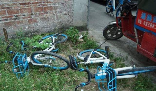 最好看的里番海报