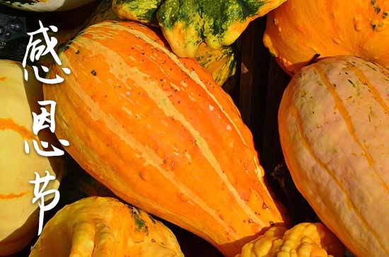 韩国 我和朋友爬上了南山海报