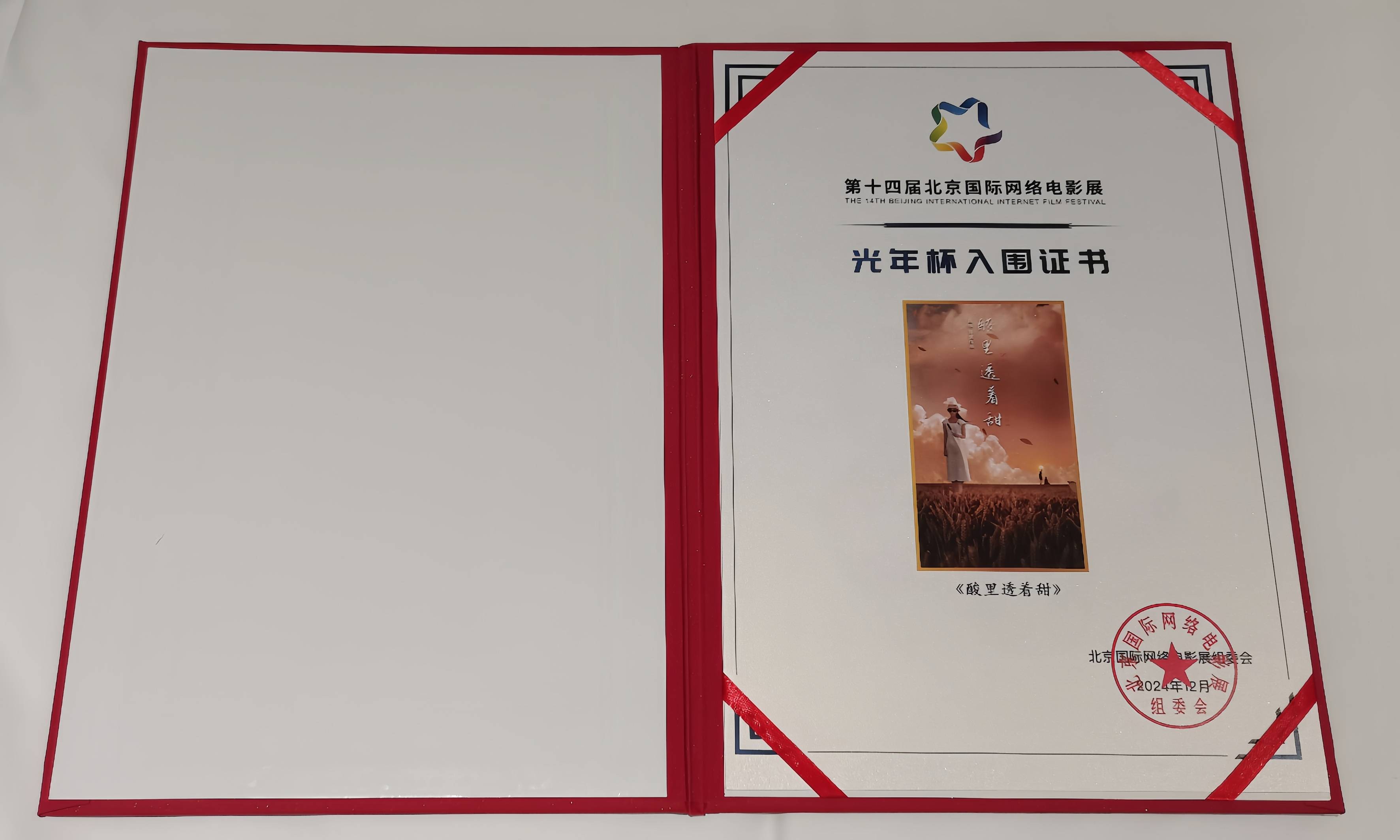 91精品国产综合久久小仙海报