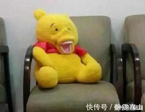 魔术师啄木鸟 它敲了足足十五分钟