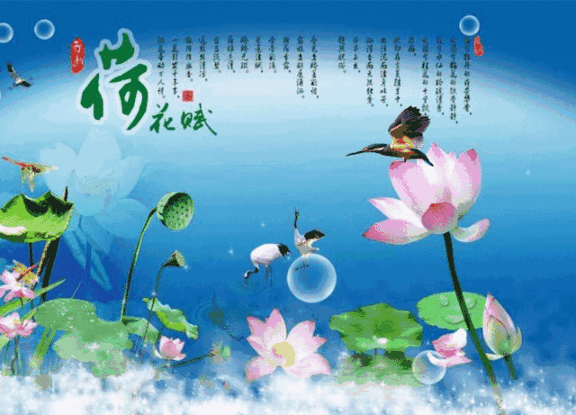 云南蔡总涉黄视频海报