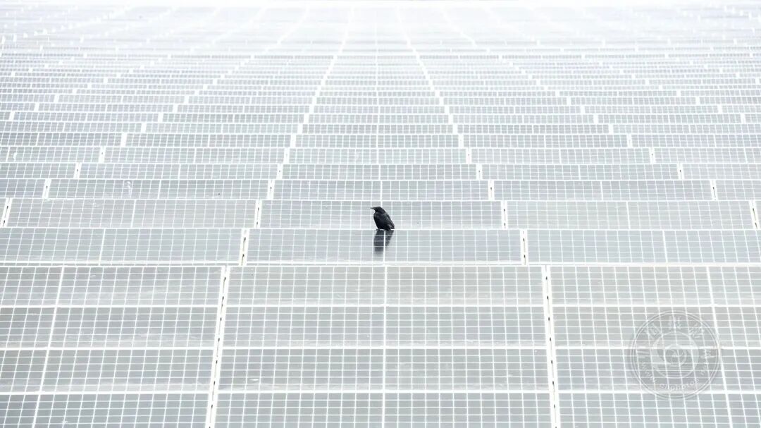 翻咔官方网站海报