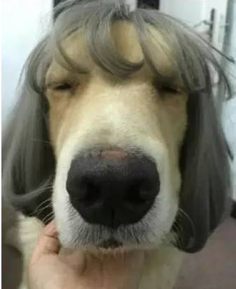 国产乱码精品aaaaaaaa 