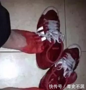 啄木鸟 视频海报