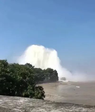 成年人的世界海报