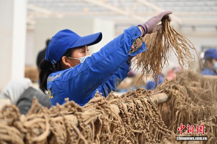 whatifanimation视频海报