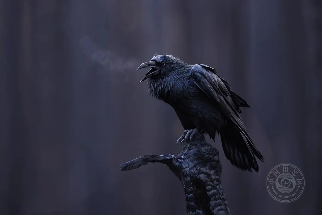 美柚视频 美柚视频我偏爱这种瞬间海报