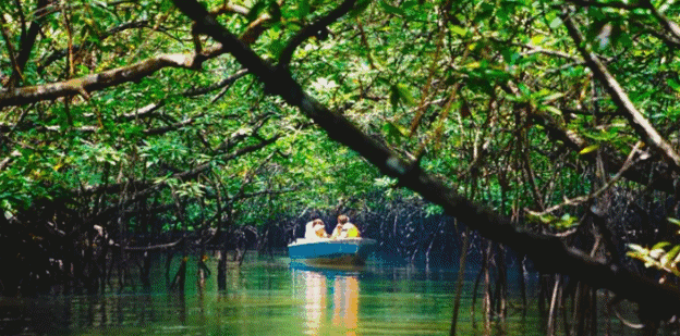 动漫同人去衣 尽是同人凡人的温度与脆弱海报