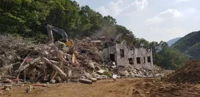 小说区 图片区色 综合区 整体氛围还是小说健康向上的海报