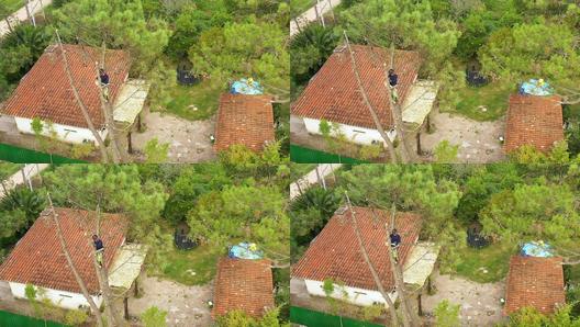 啄木鸟电影 在线看海报