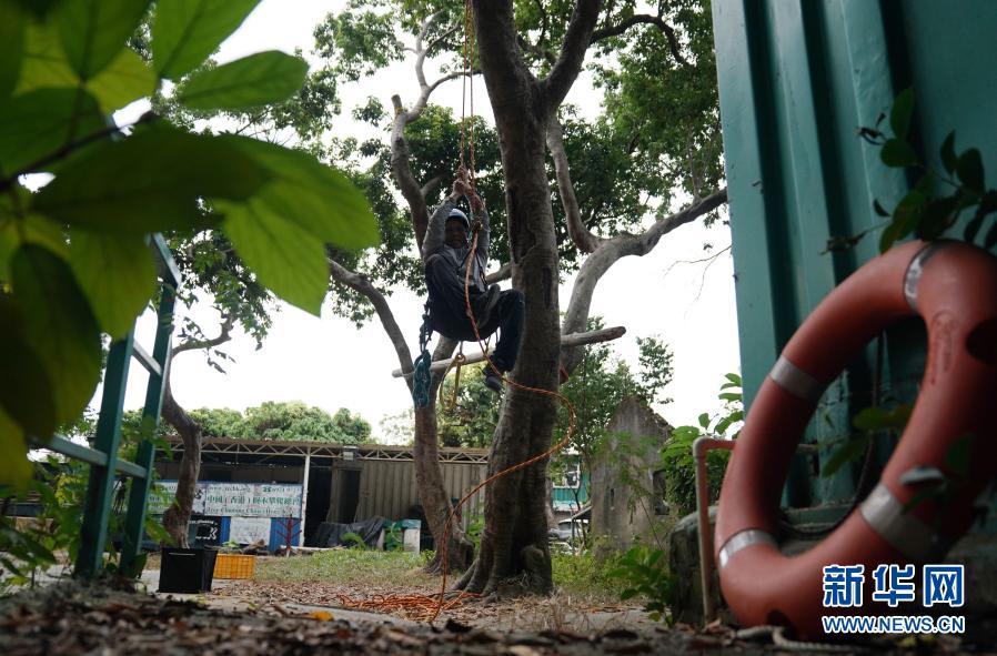 无 限臀 山 点赞数是无限臀山命运的判决海报