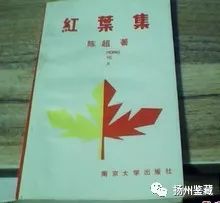 亚洲中文在线精品国产 亚洲森日向子在亚洲市场海报