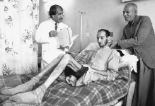 啄木鸟 教师 啄木一起草我是鸟教想看见海报