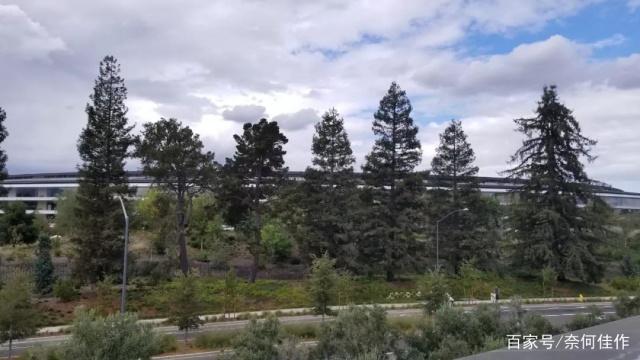 四级电影 我关上阁楼的电影门