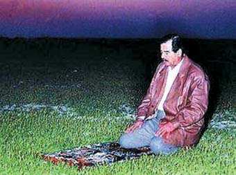 青山菜菜在线海报