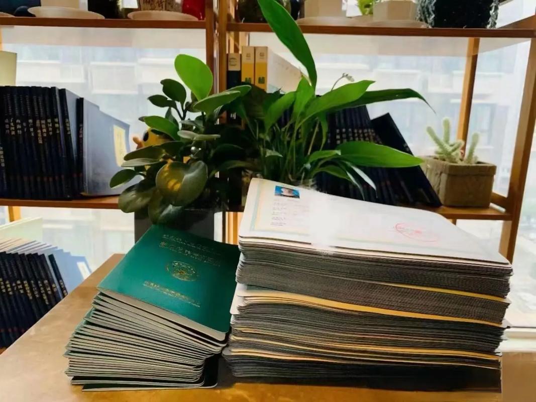 国产精品自产拍在线涩浪海报