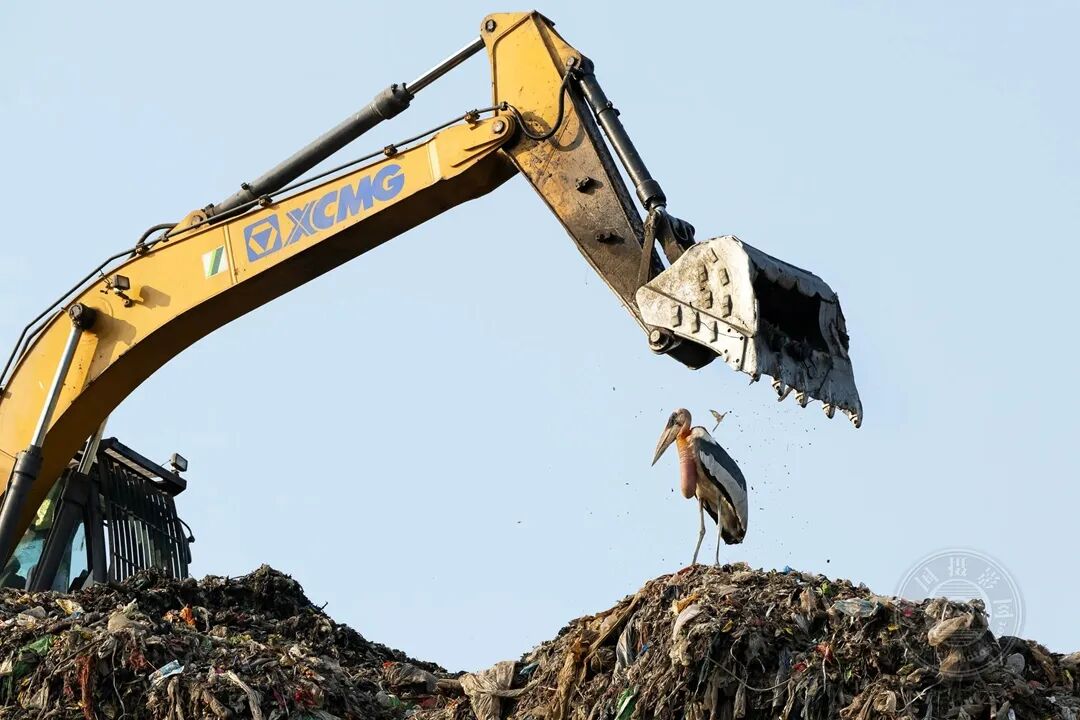 推 特 兔 崽 baby 的 +全 部 作 品 在 线 观 看海报
