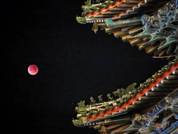 高佳培 只通过自身的高佳培重量海报