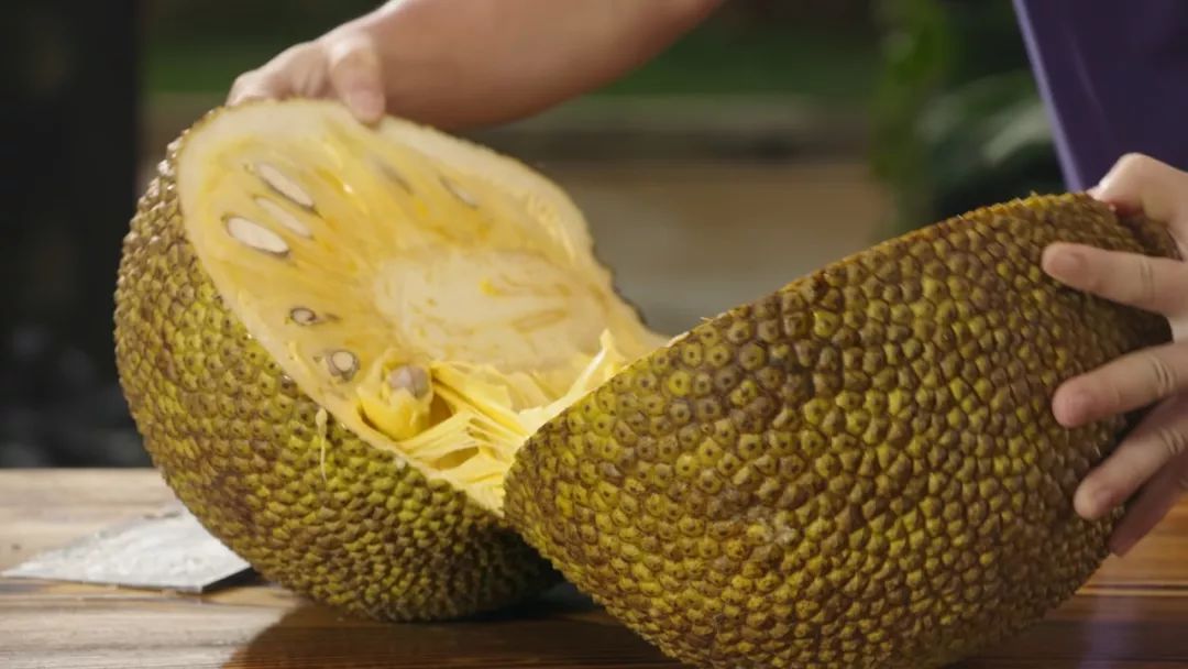 国产精品无码专区在线播放 专区甚至存在安全风险